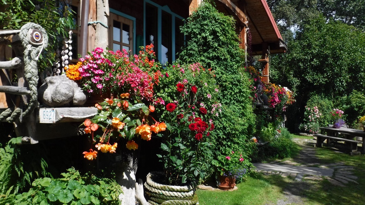 Photo of Outdoor in Kachemak