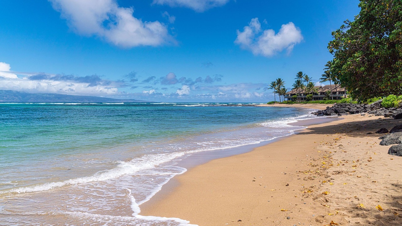 Photo of Others in Kahana