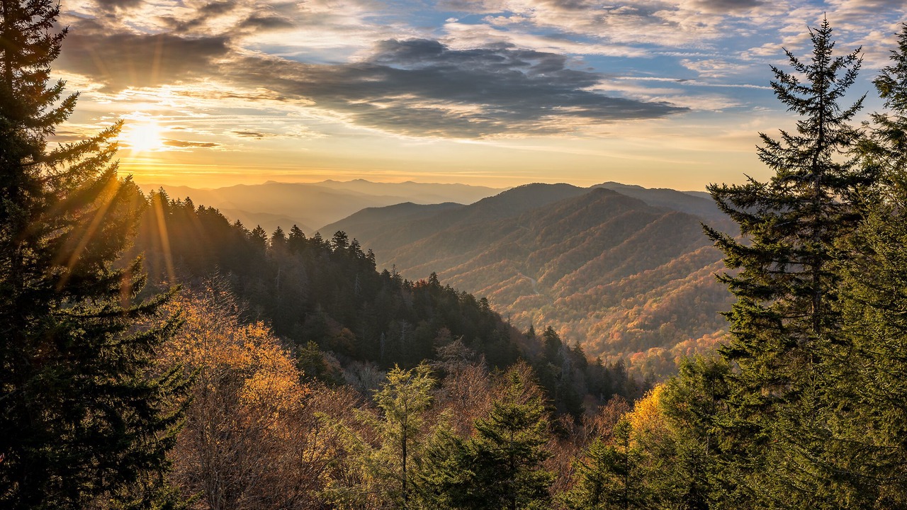 Photo of Others in Pigeon Forge
