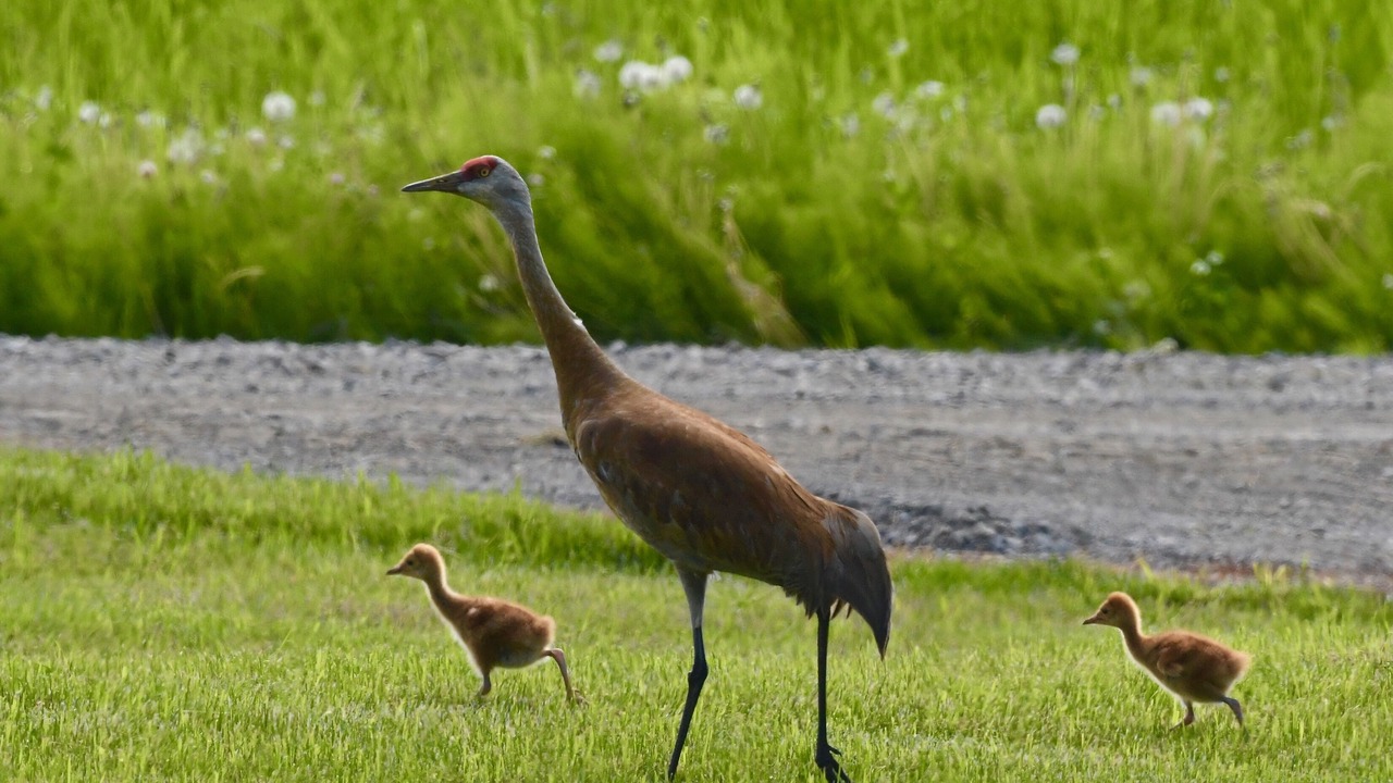Photo of Outdoor in Kachemak