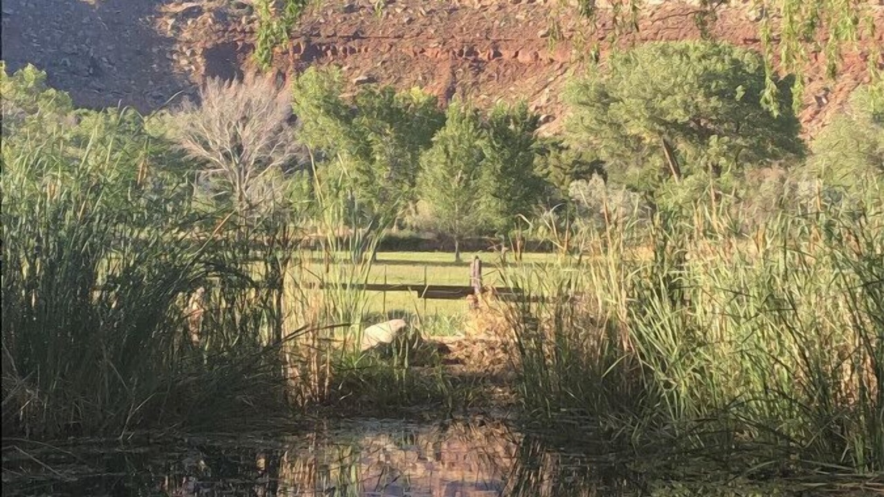 Photo of Outdoor in Zion National Park South Entrance