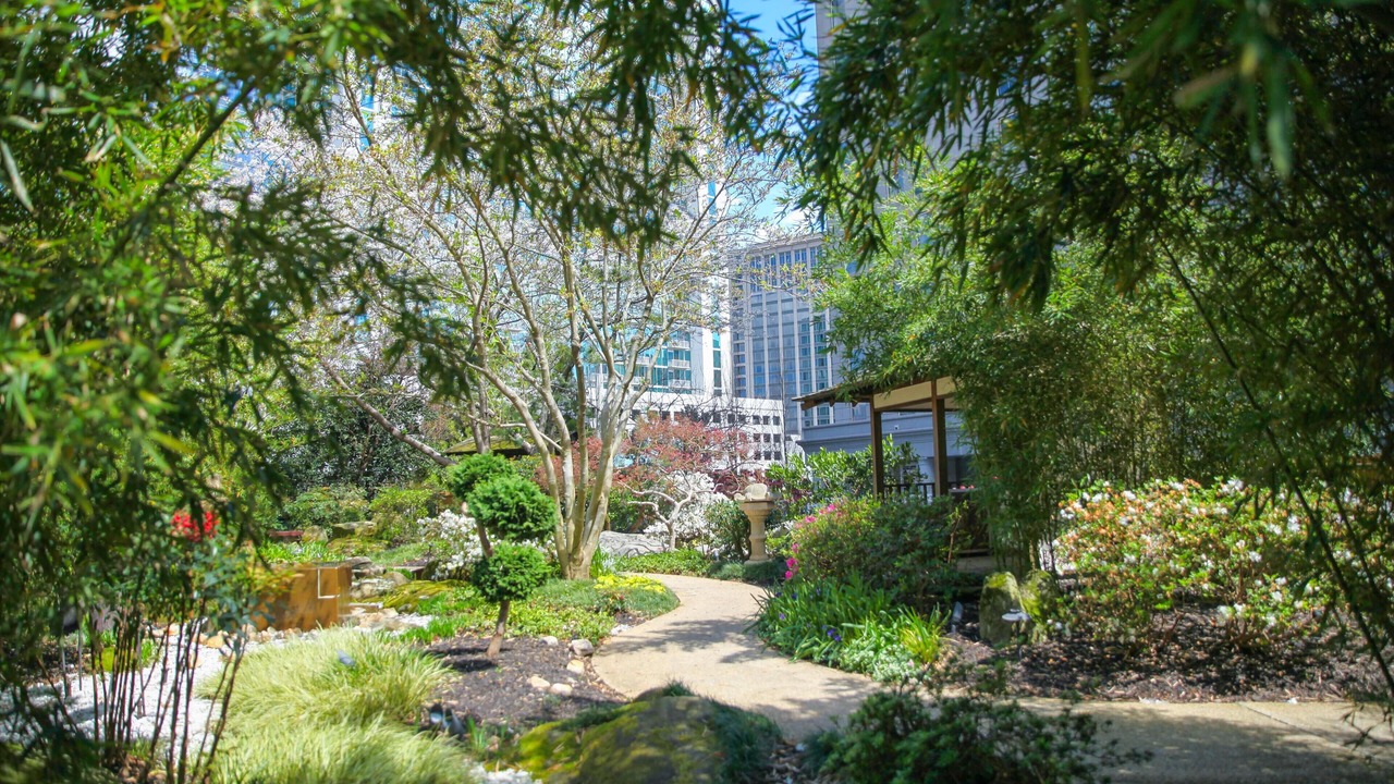 Photo of Outdoor in Peachtree Park