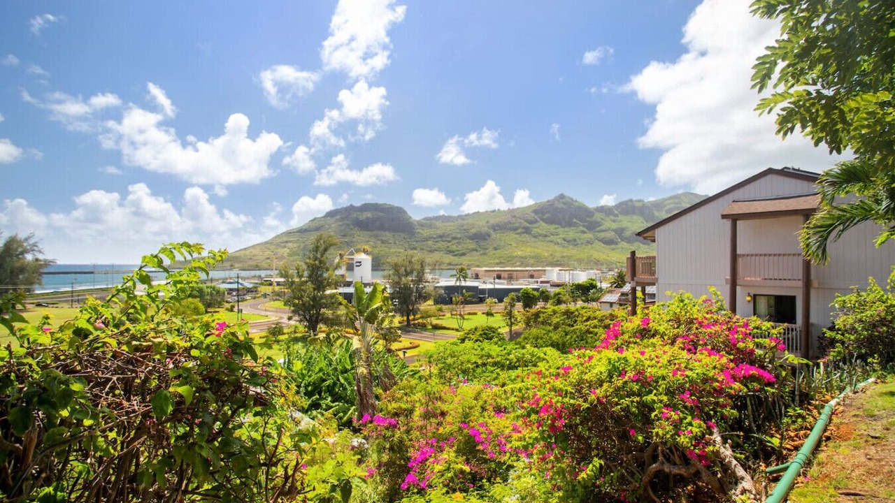 Photo of Outdoor in Nawiliwili