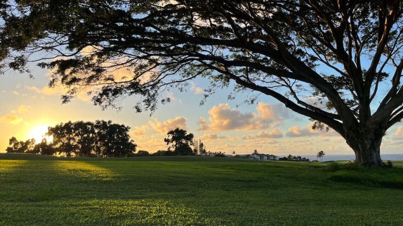 Photo of Others in Princeville