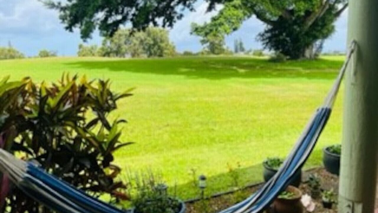 Photo of Others in Princeville