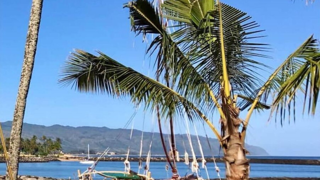 Photo of Others in Pupukea