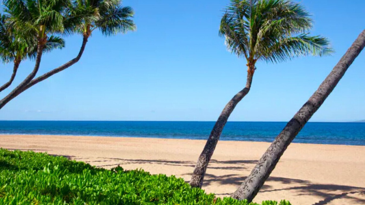 Photo of Others in Kaanapali
