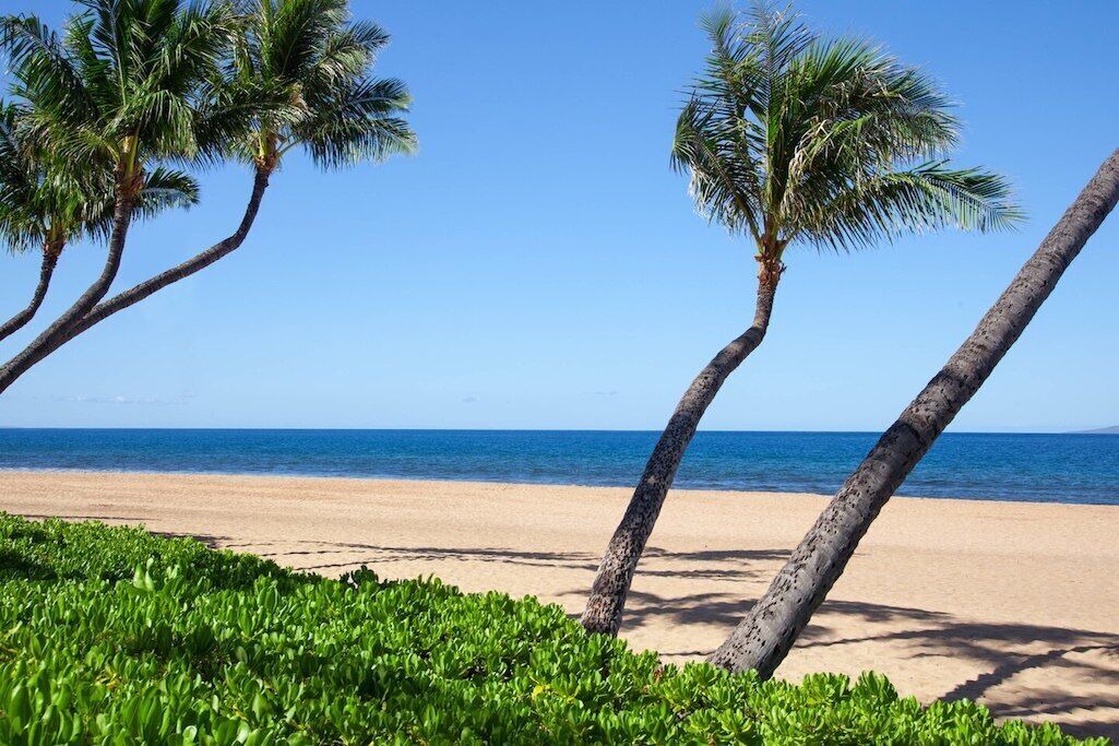 Photo of Others in Kaanapali