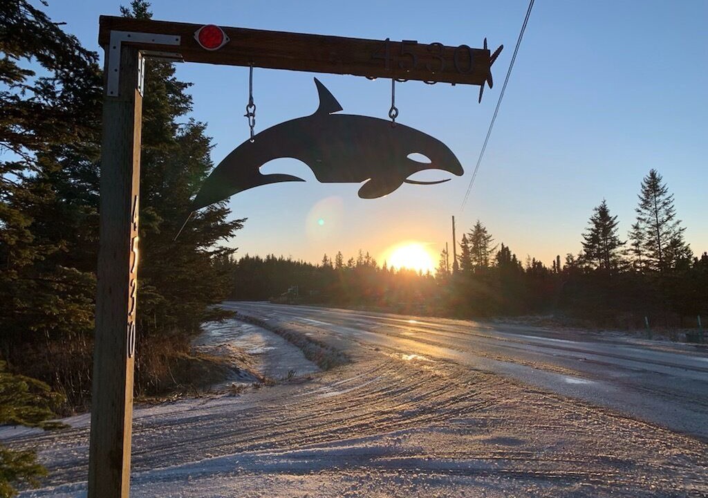 Photo of Others in Homer