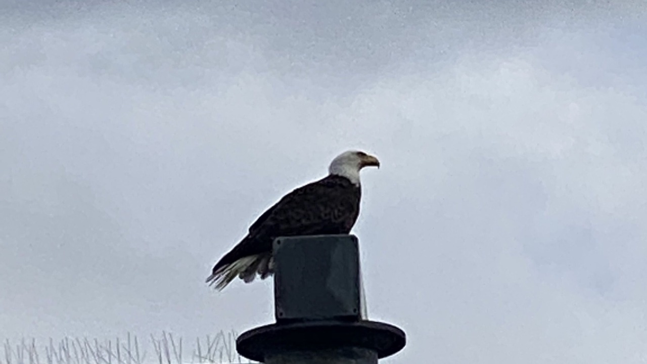 Photo of Outdoor in Ketchikan
