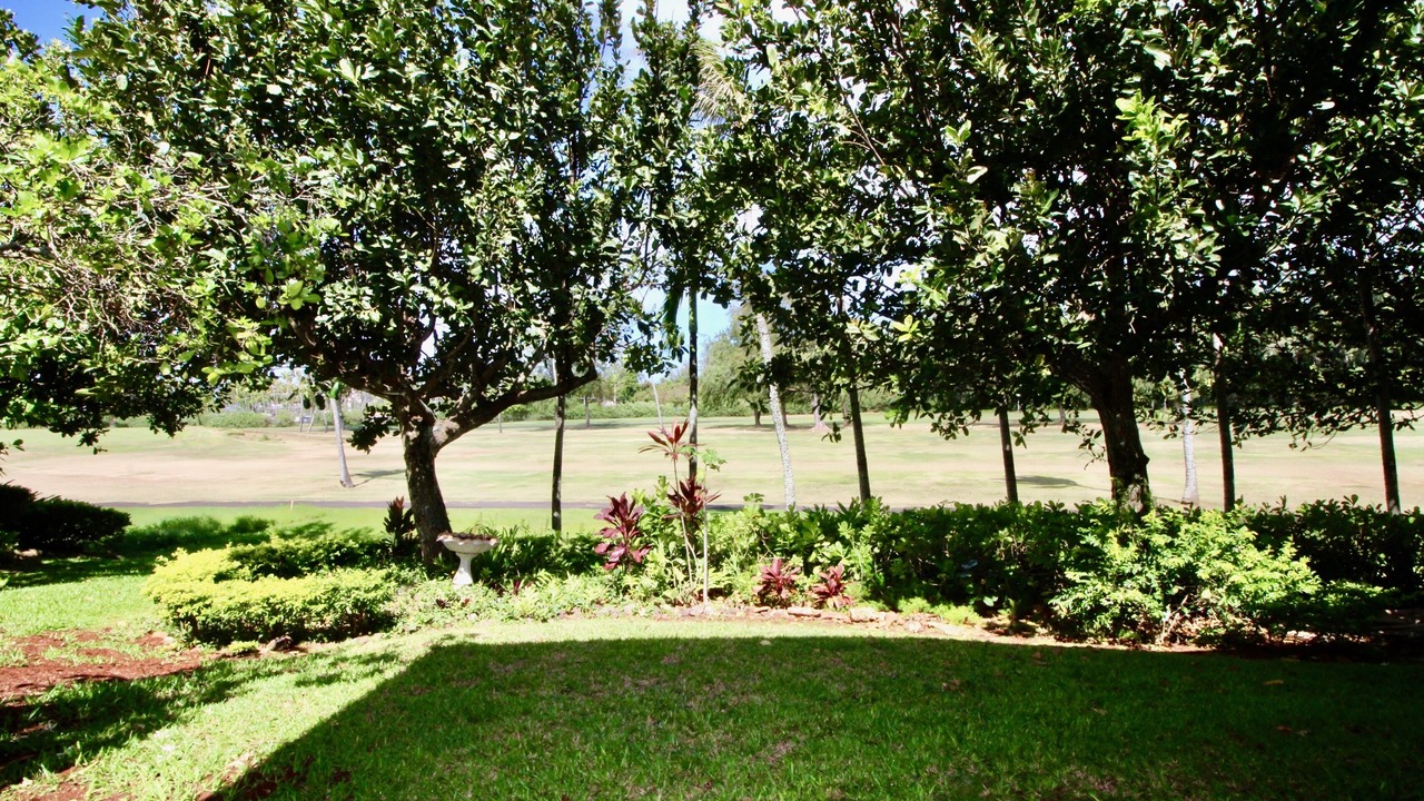 Photo of Outdoor in Kahuku