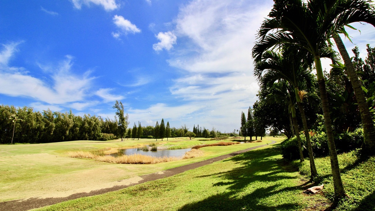 Photo of Others in Kahuku