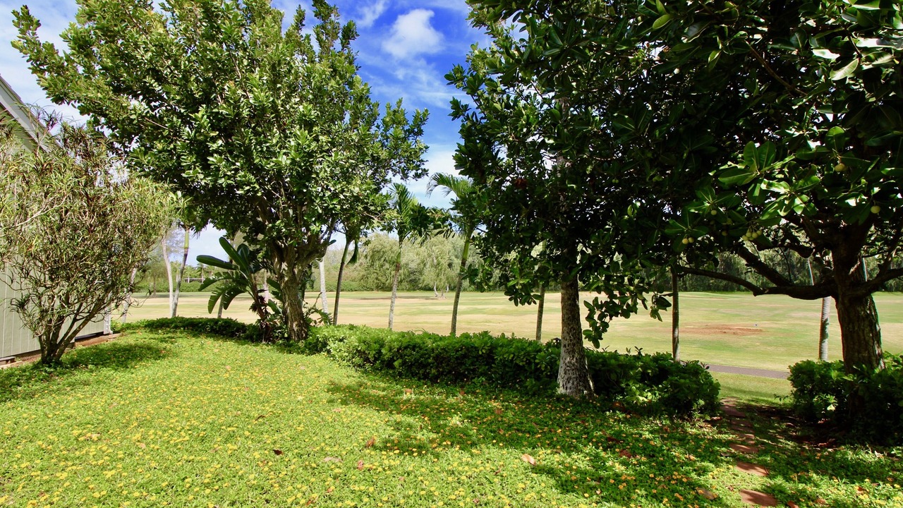Photo of Outdoor in Kahuku