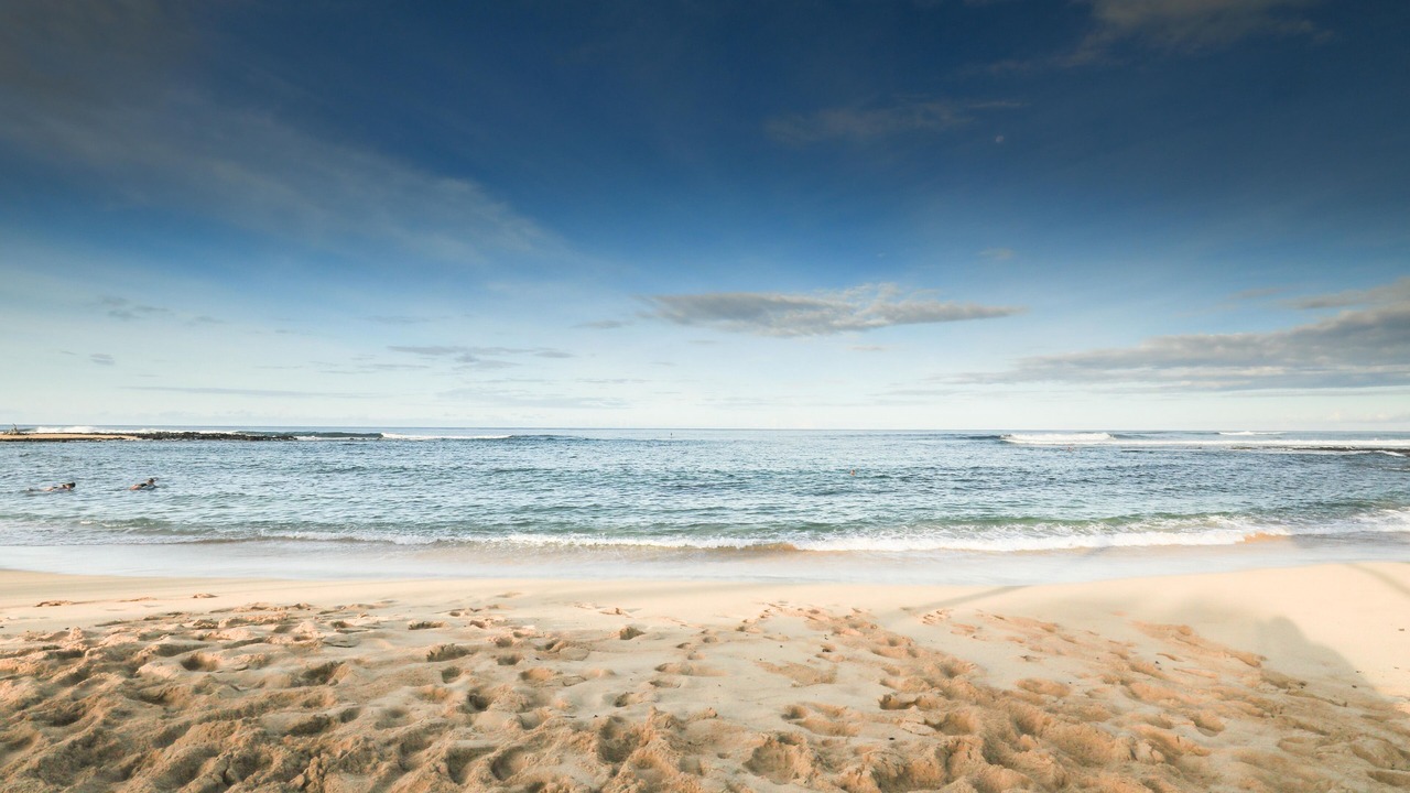 Photo of Others in Poipu