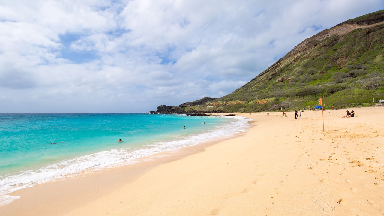 Photo of Others in Portlock