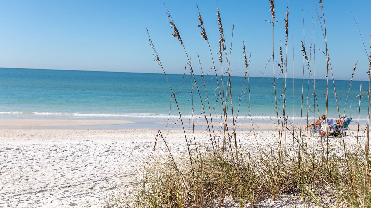 Photo of Others in Bradenton Beach