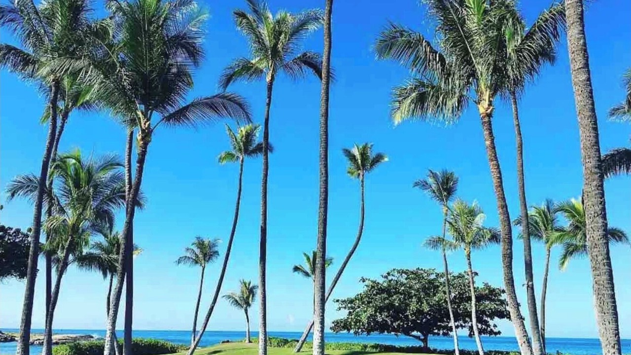 Photo of Others in Ko Olina