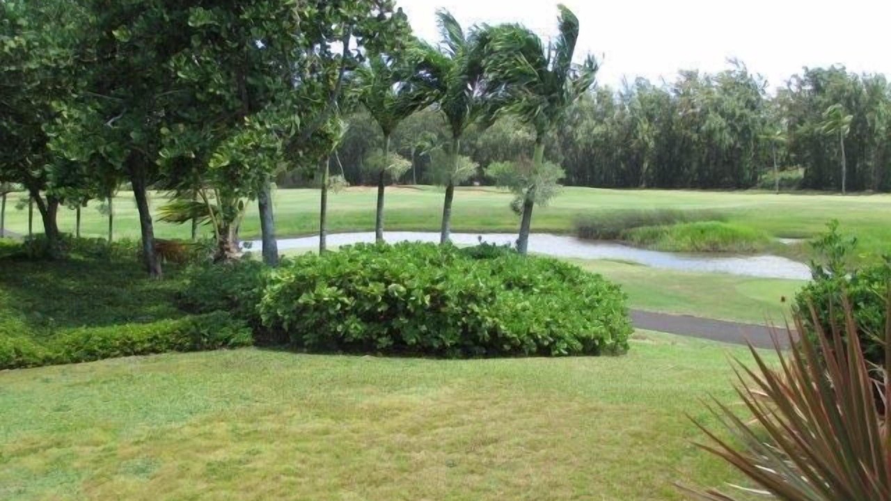 Photo of Others in Kahuku