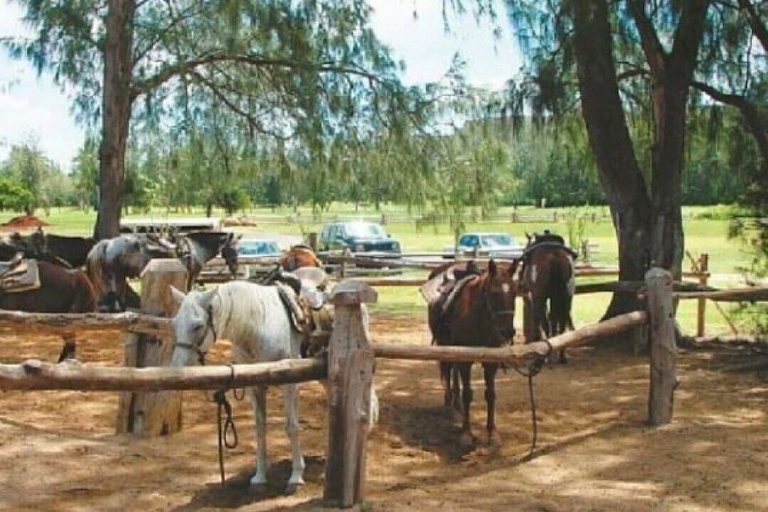 Photo of Outdoor in Kahuku