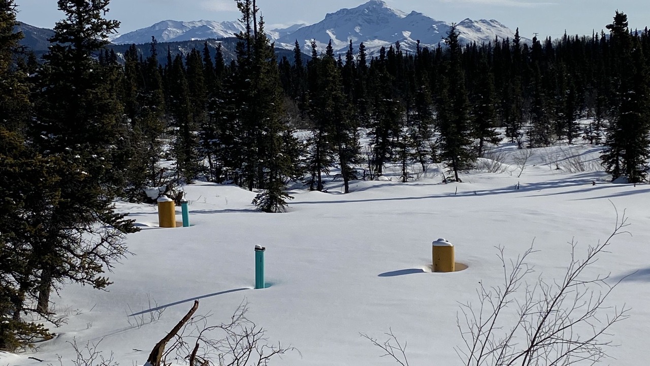 Photo of Outdoor in Healy
