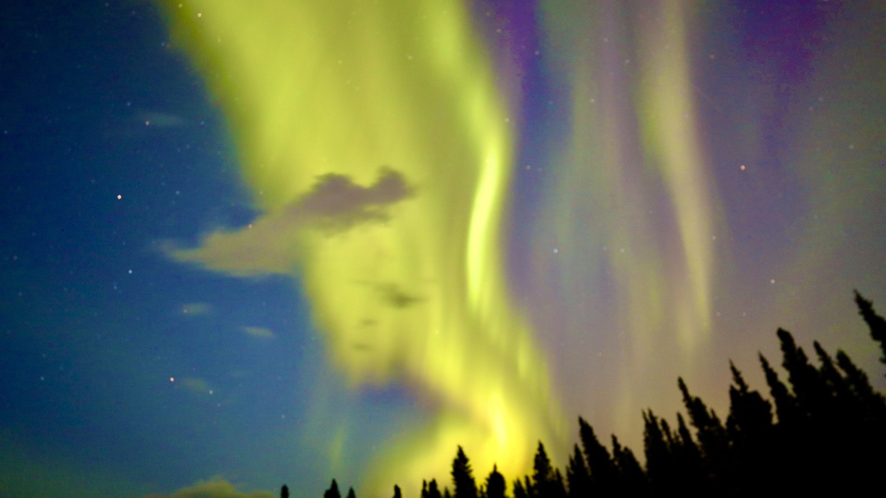 Photo of Outdoor in Healy
