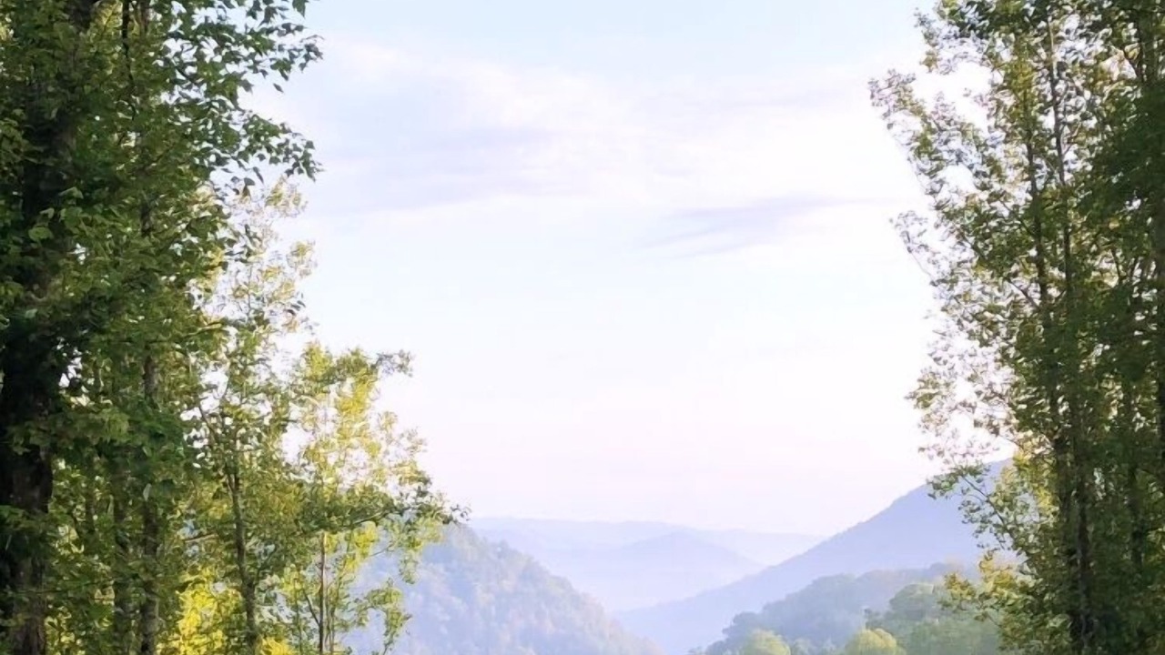 Photo of Others in Roan Mountain