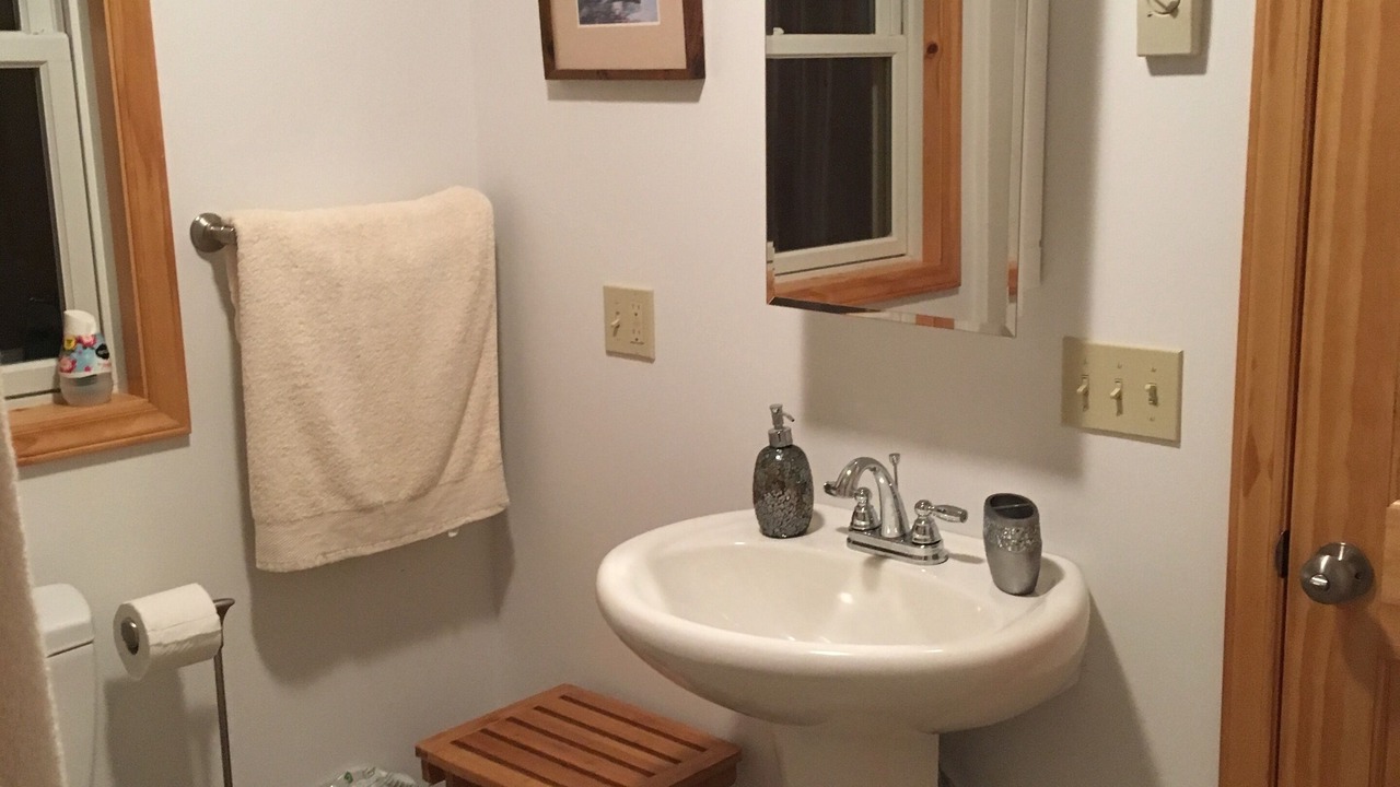 Photo of Bathroom in Roan Mountain