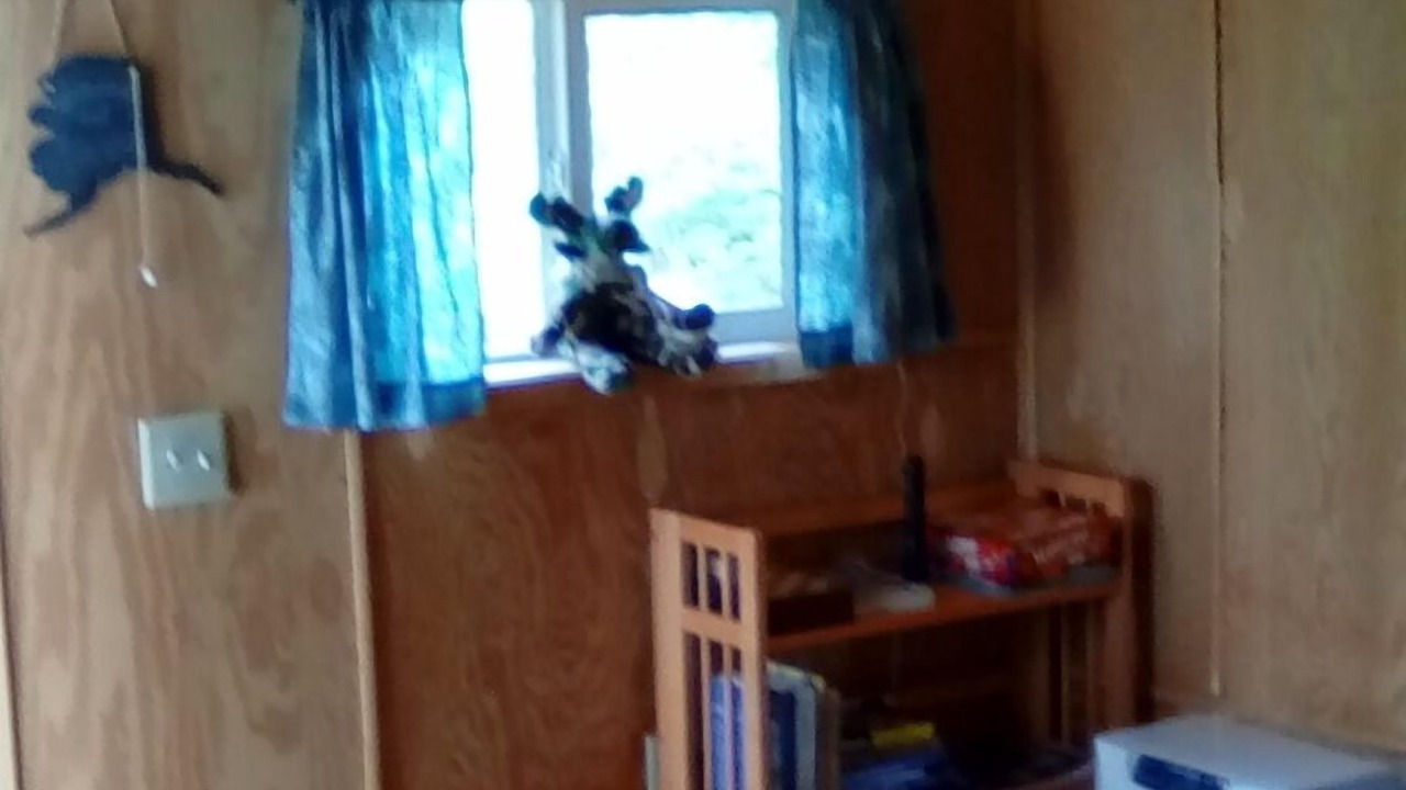 Photo of Others in Talkeetna