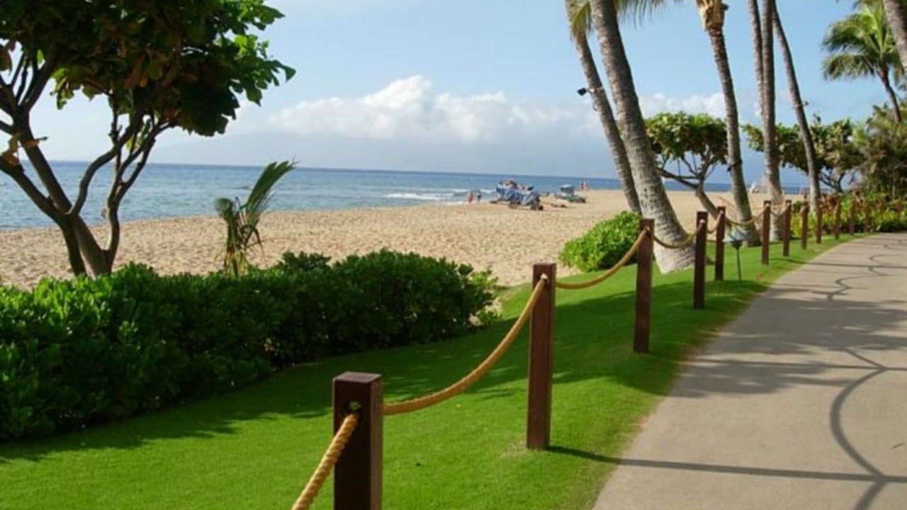Photo of Others in Kaanapali