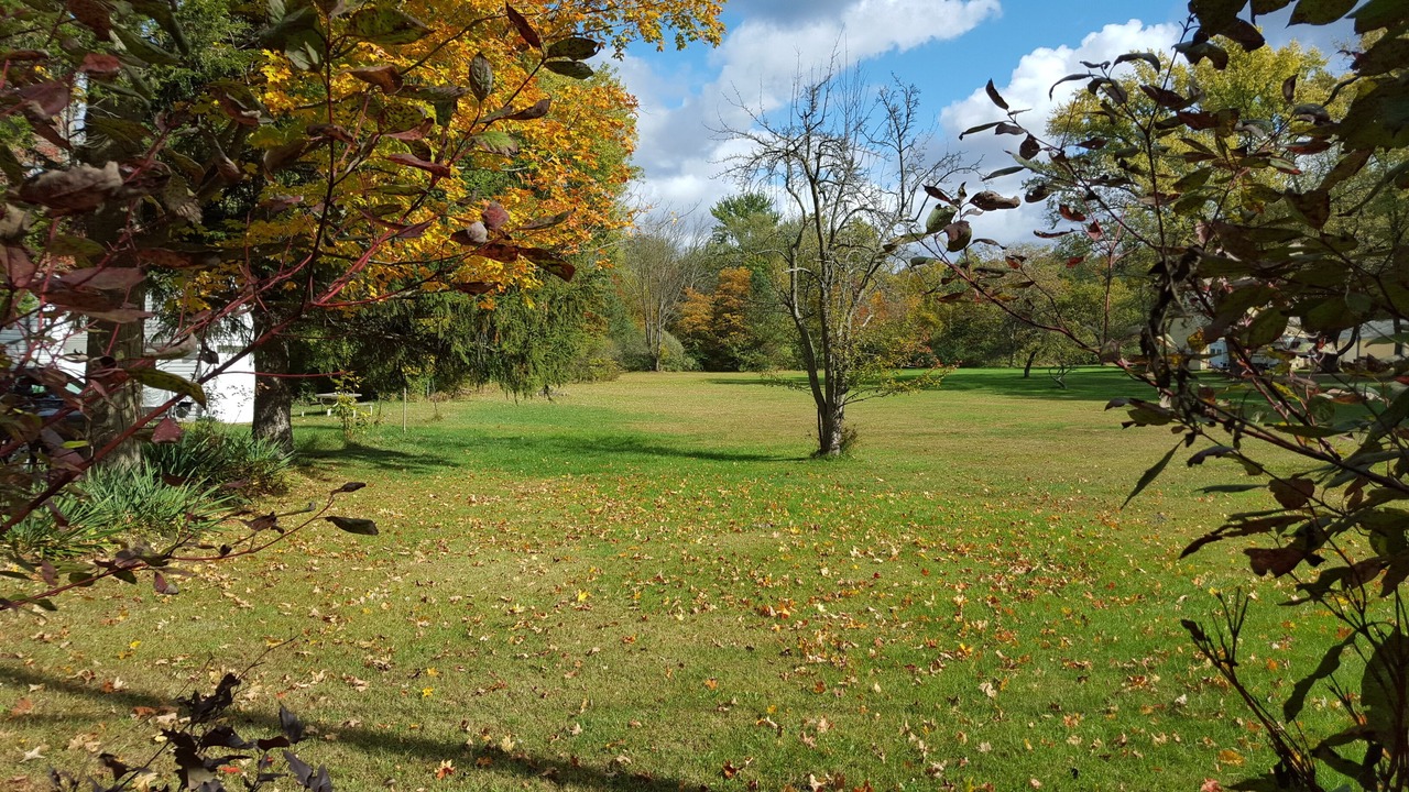 Photo of Outdoor in Harbert