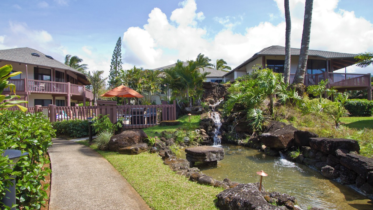 Photo of Others in Princeville
