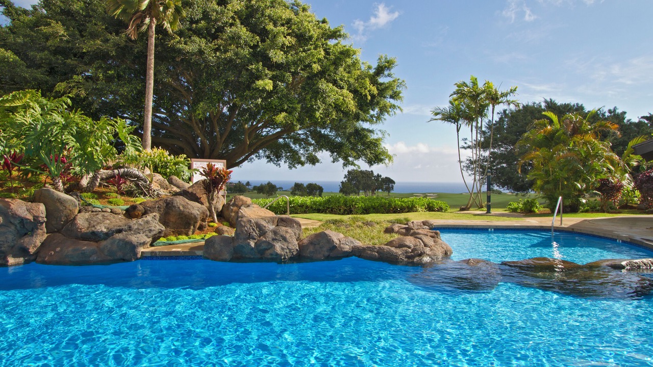 Photo of Others in Princeville