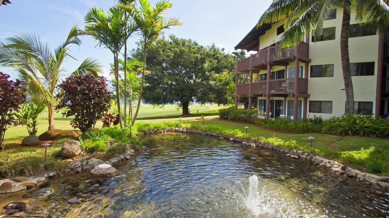 Photo of Others in Princeville