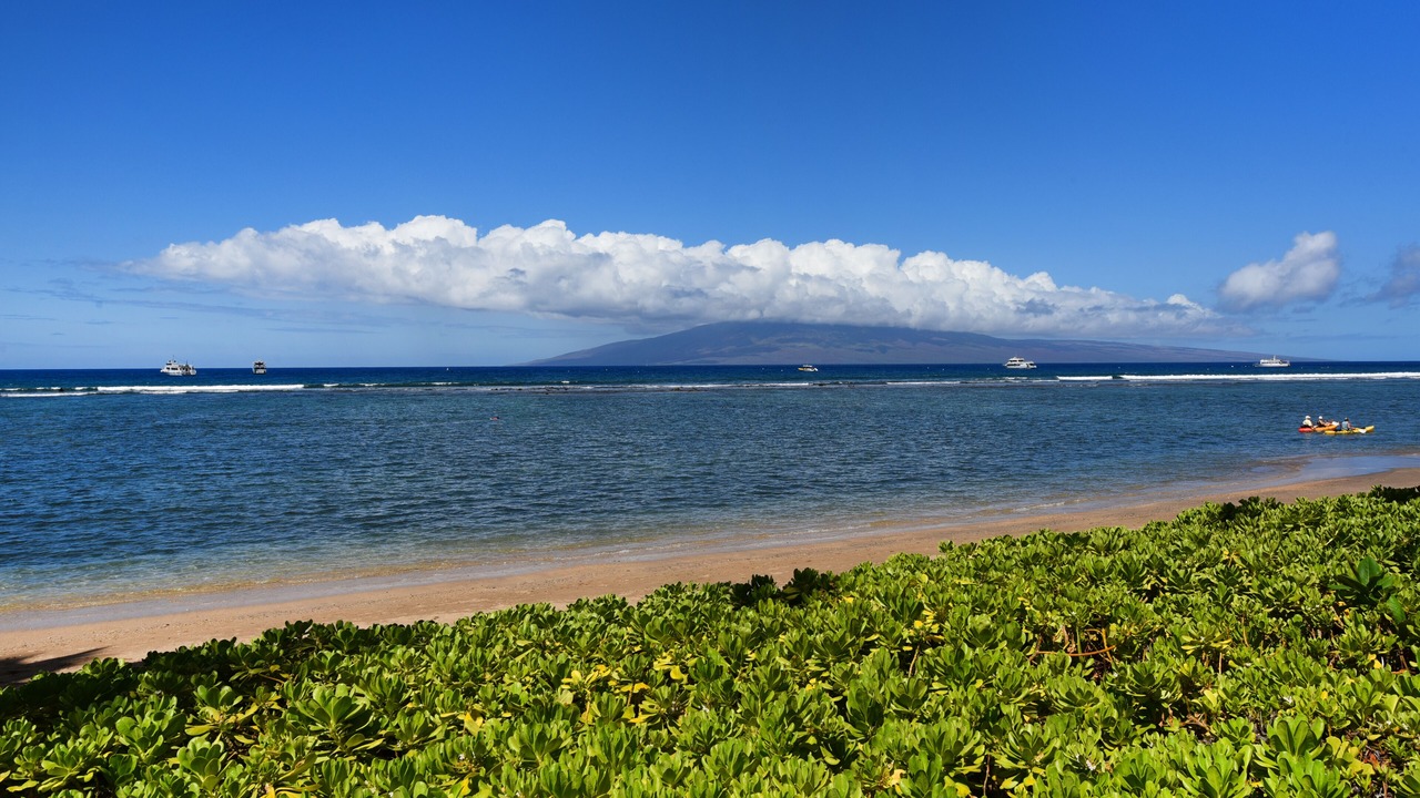 Photo of Others in Historic Lahaina Front Street