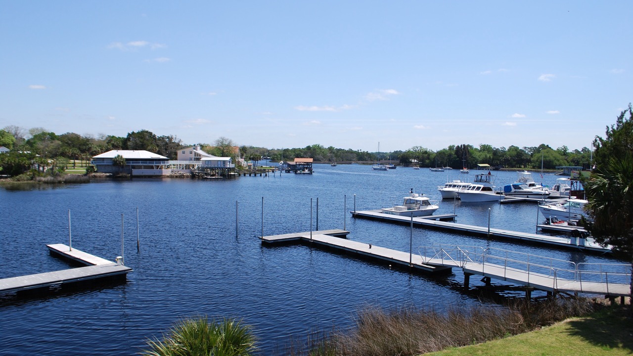 Photo of Others in Steinhatchee