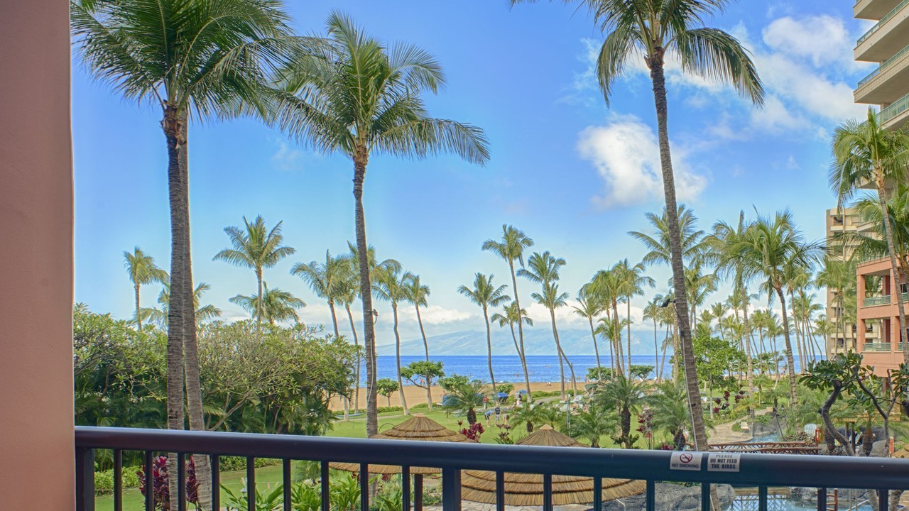 Photo of Others in Kaanapali