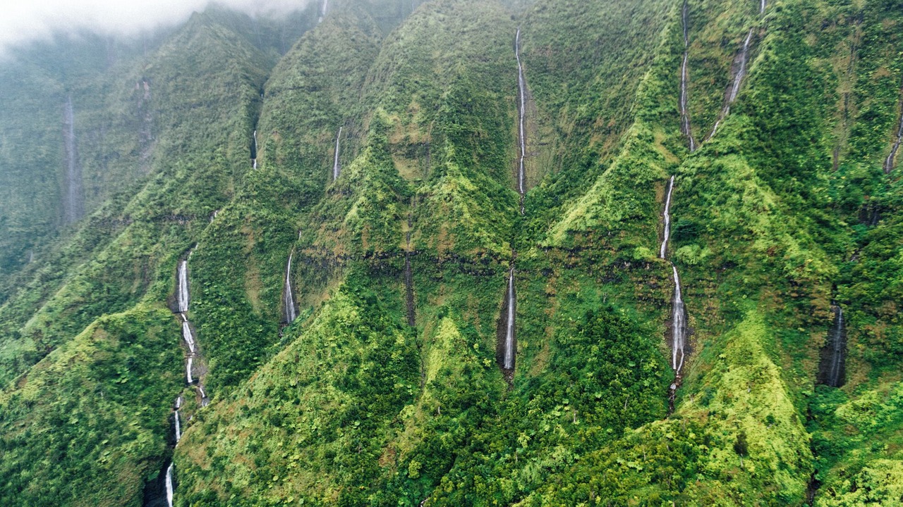Photo of Others in Hanalei