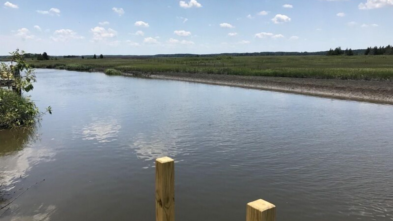 Photo of Outdoor in Broadkill Beach