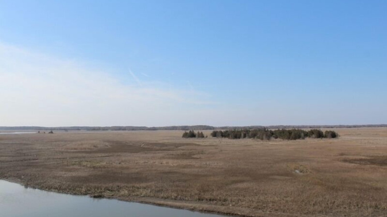 Photo of Outdoor in Broadkill Beach