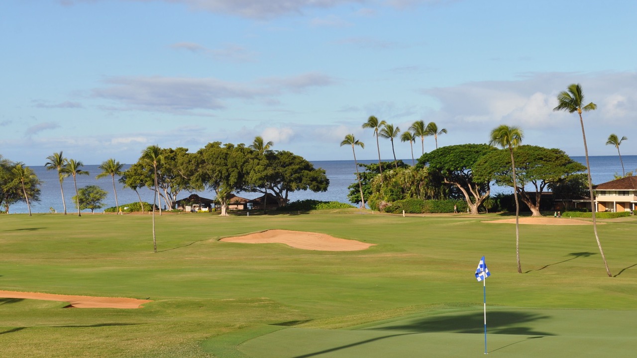 Photo of Others in Kaanapali