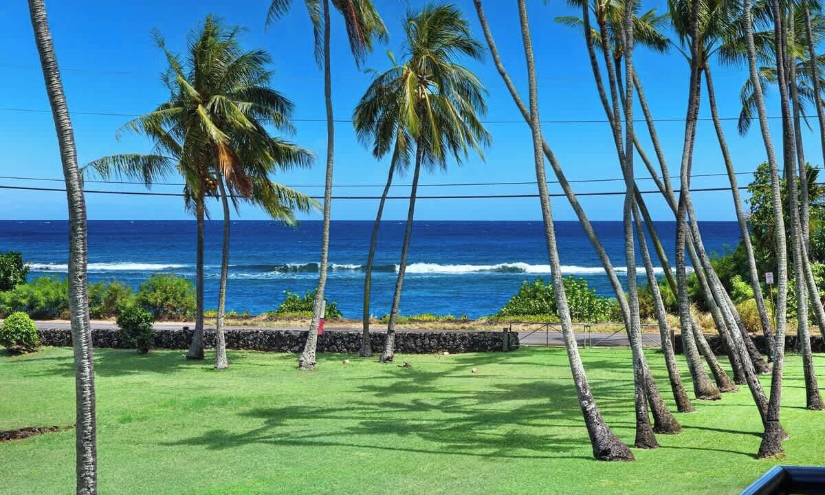Photo of Others in Poipu