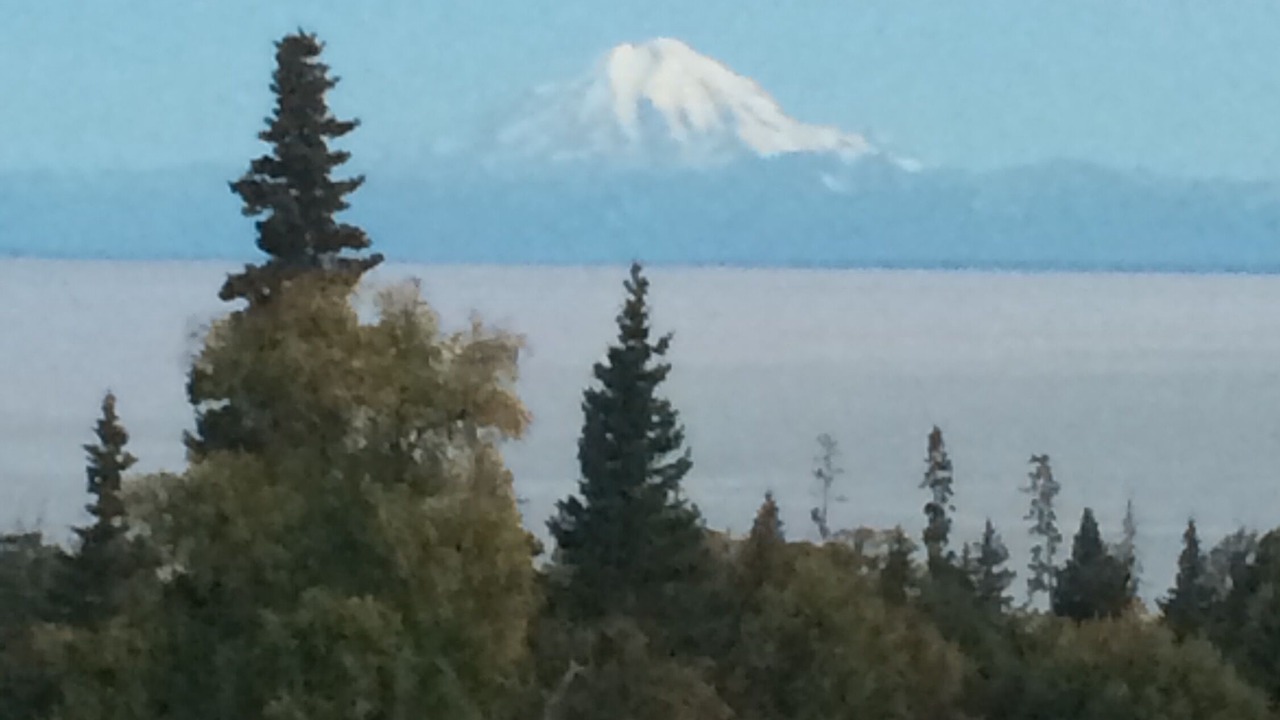 Photo of Others in Cohoe