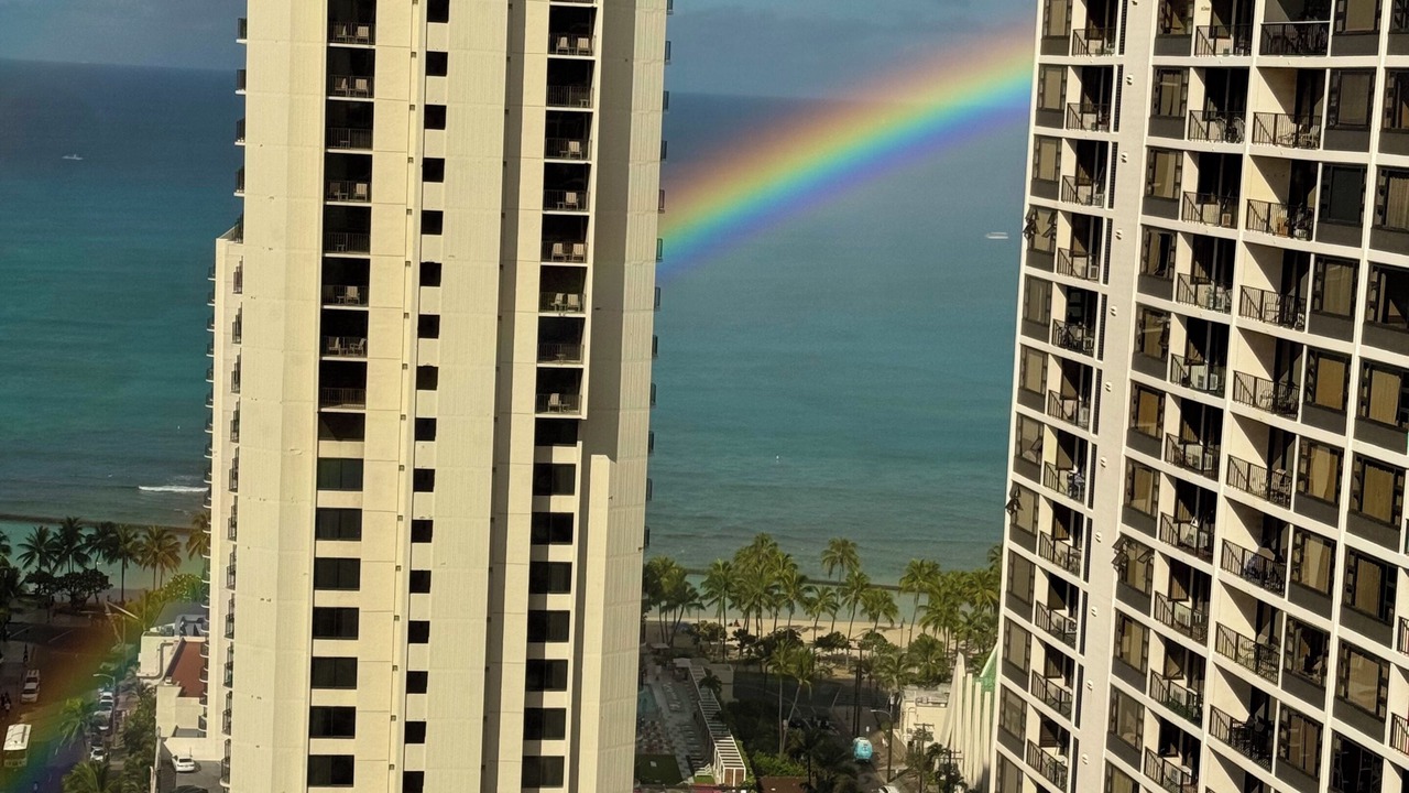 Photo of Outdoor in Waikiki