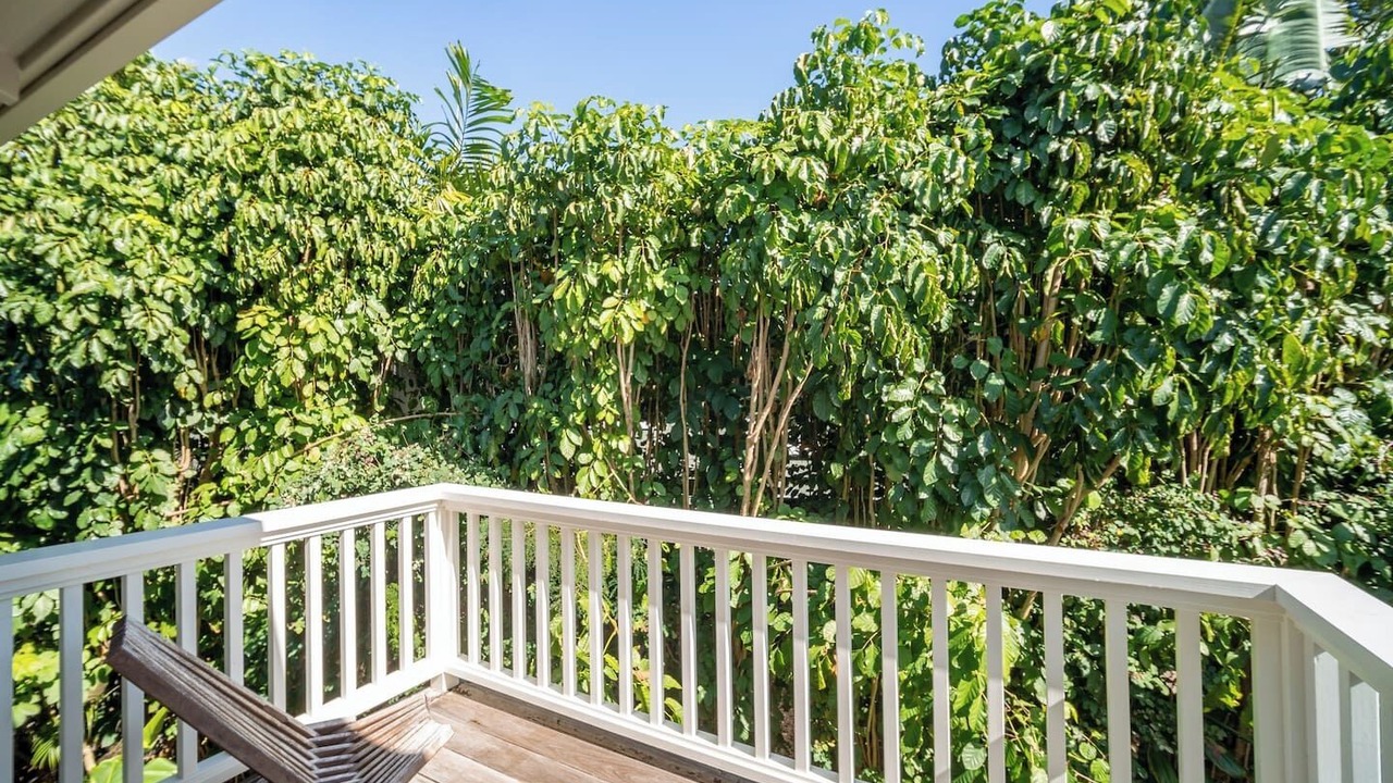 Photo of Outdoor in Hanalei
