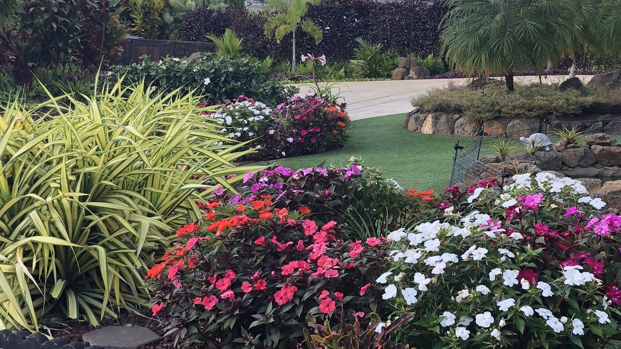Photo of Outdoor in Poipu