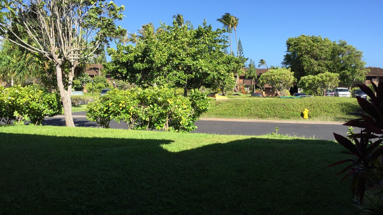 Photo of Others in Kahuku