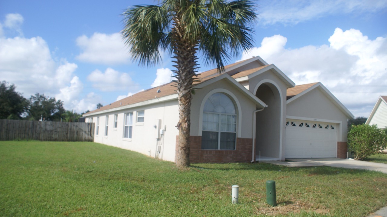 Photo of Outdoor in Orange Tree