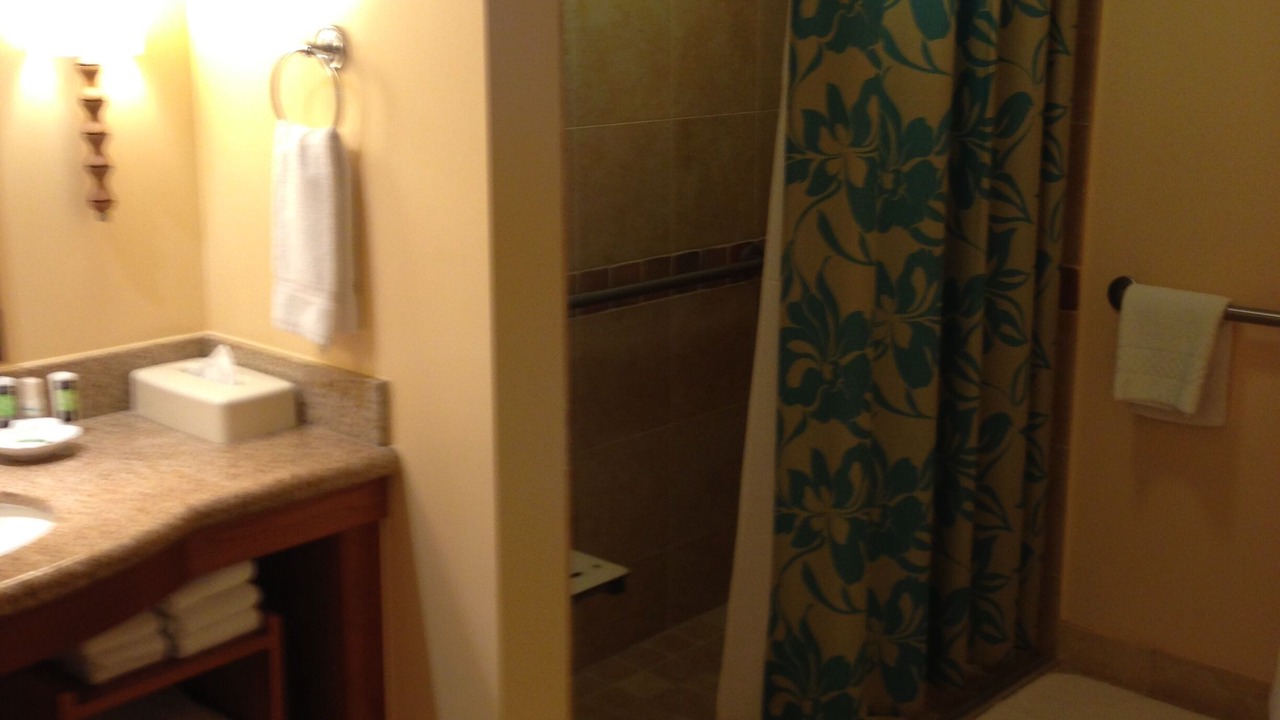 Photo of Bathroom in Kaanapali