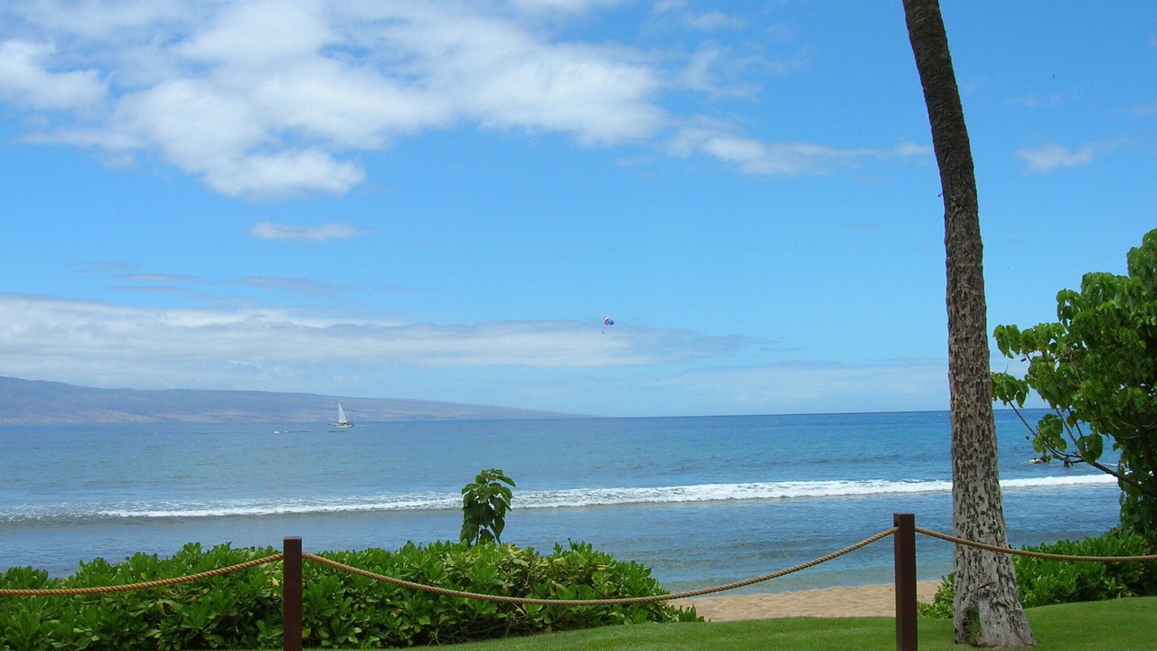 Photo of Others in Kaanapali