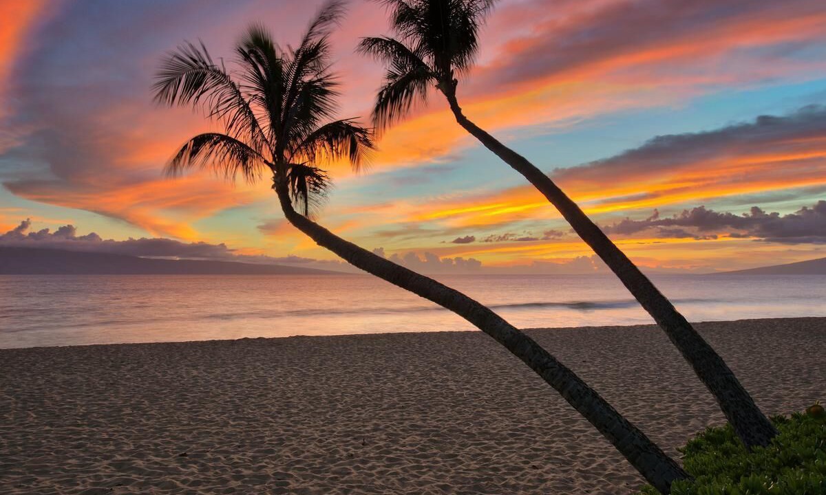 Photo of Others in Kaanapali